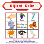 Dijital Ürün -İngilizce Tombala - İlkokul 2. Sınıf