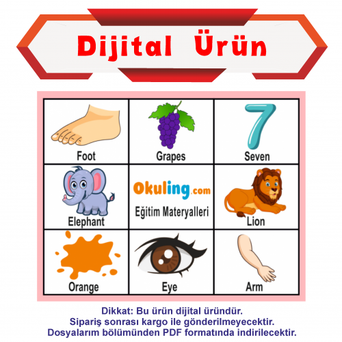 Dijital Ürün -İngilizce Tombala - İlkokul 2. Sınıf
