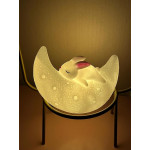 Ay Üzerinde Uyuyan Tavşan Gece Lambası