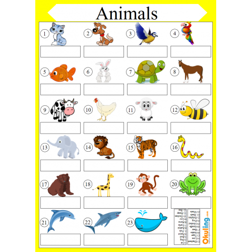 Animals - Hayvanlar Yaz Sil